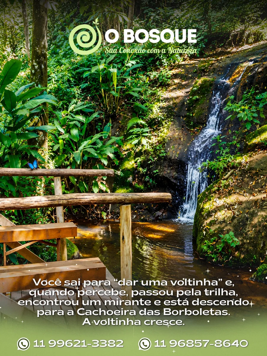Cachoeira das Borboletas cercada pela mata