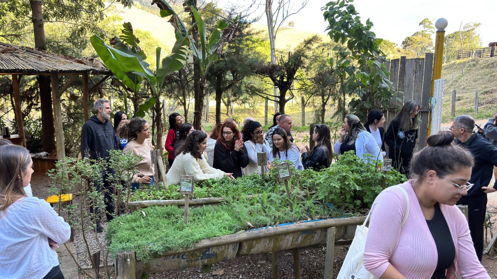 Grupo de visitantes em vivência no herbário