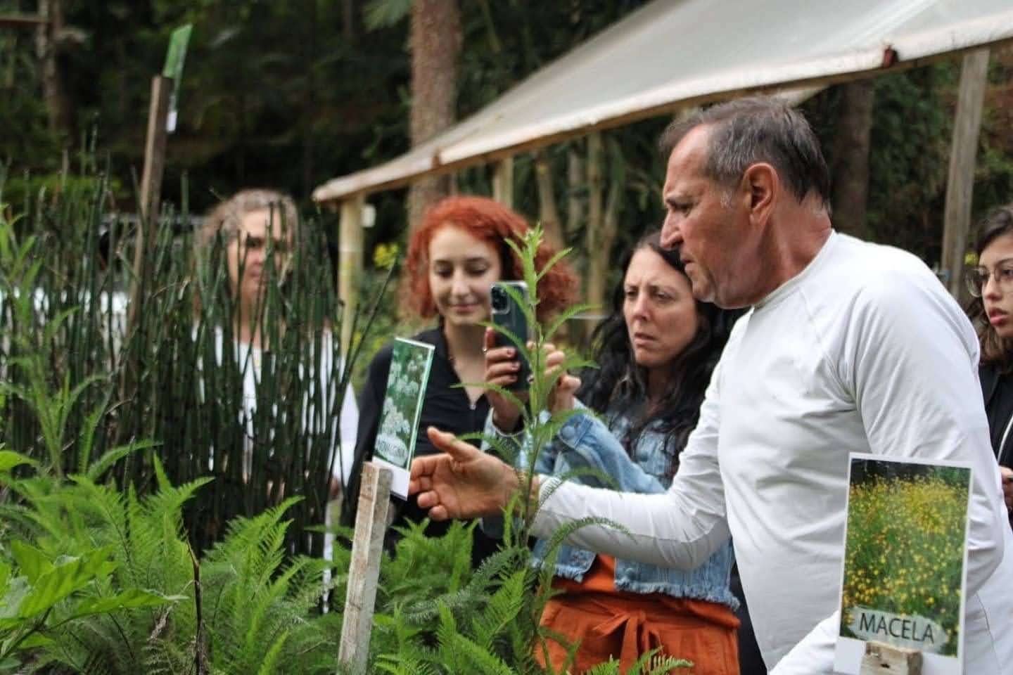 Placa de identificação da macela no herbário