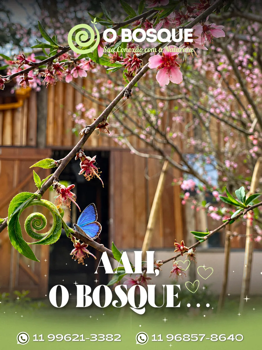 Flores e borboleta azul em frente a uma casa de madeira no O Bosque