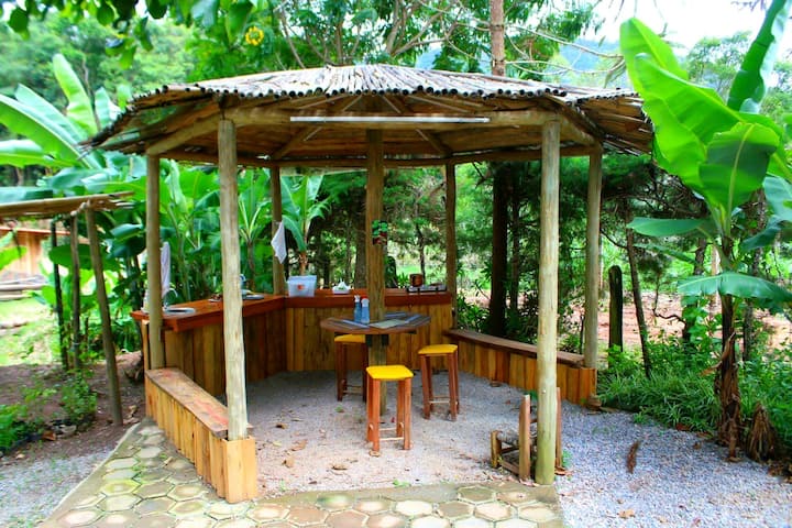 Casa de Chás Cidreira do O Bosque: quiosque de madeira e sapé com balcão, banquetas amarelas e mata ao redor