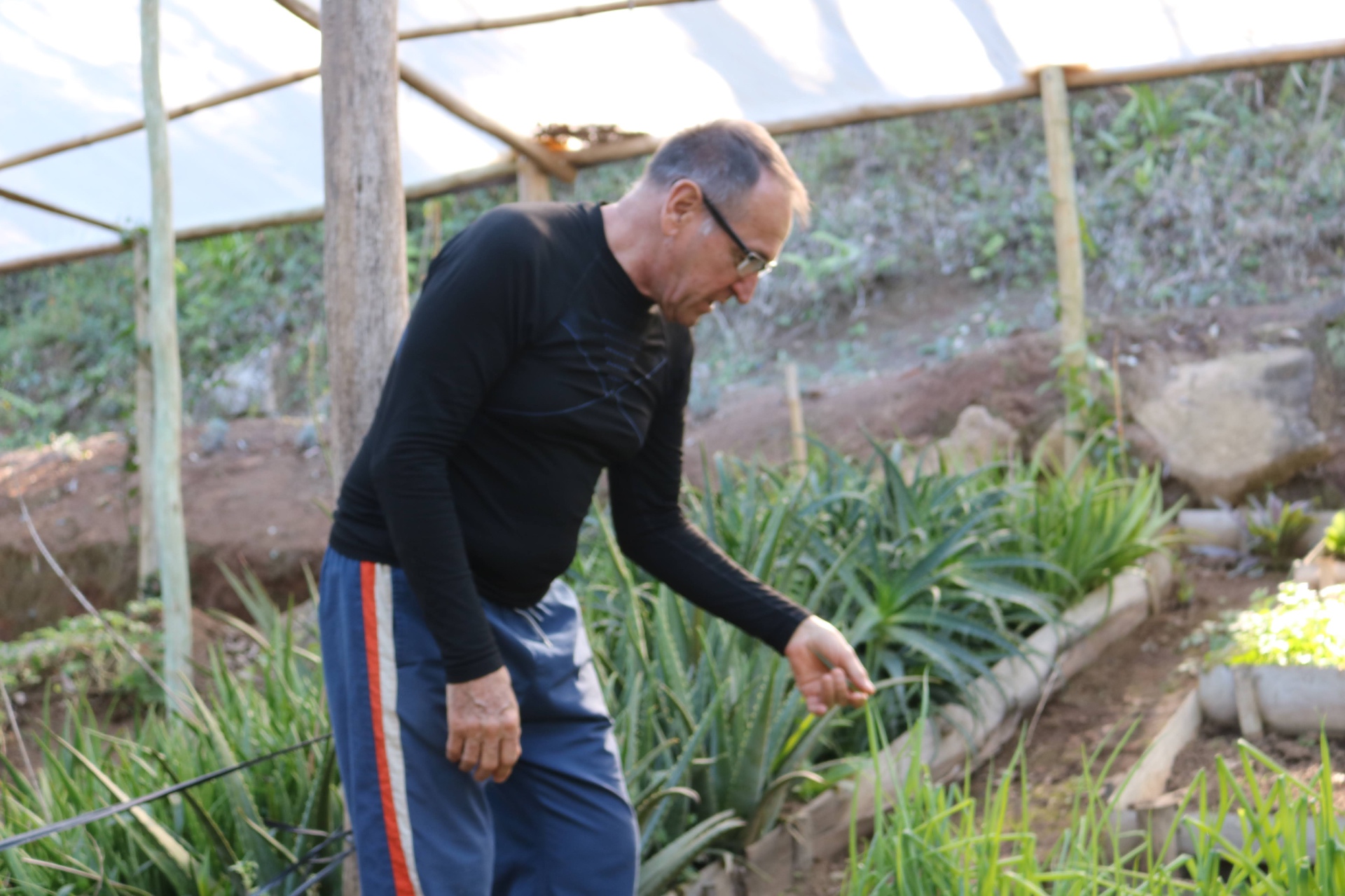 Oscar no herbário
