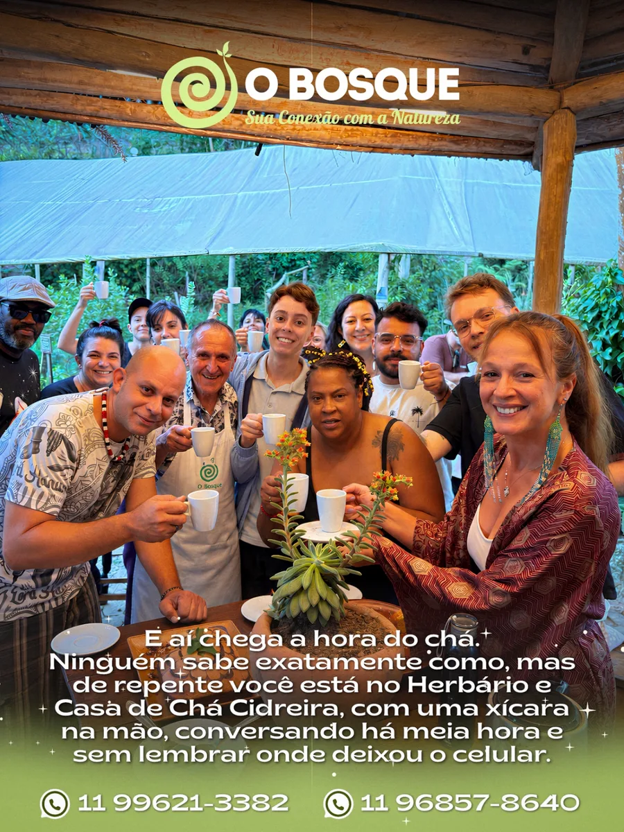 Encontro na Casa de Chá Cidreira com xícaras erguidas