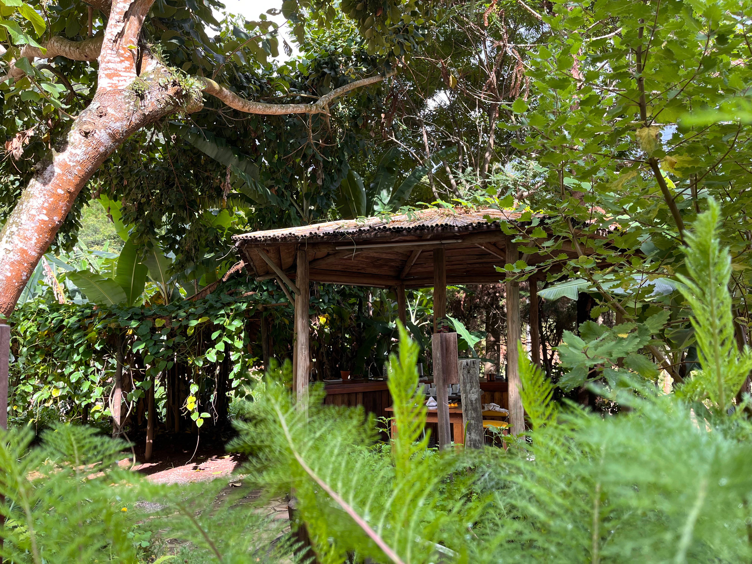 Casa de Chás